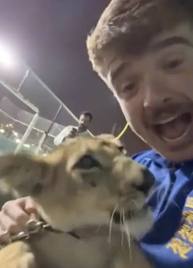 The football fan was filmed playing with a lion at a sheikh's palace. Credit: TalkSport