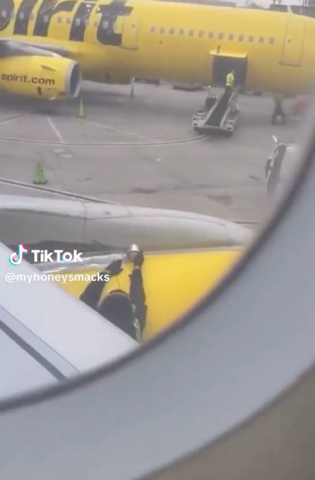 What would you do if you saw this out your window? Credit: TikTok/@myhoneysmacks