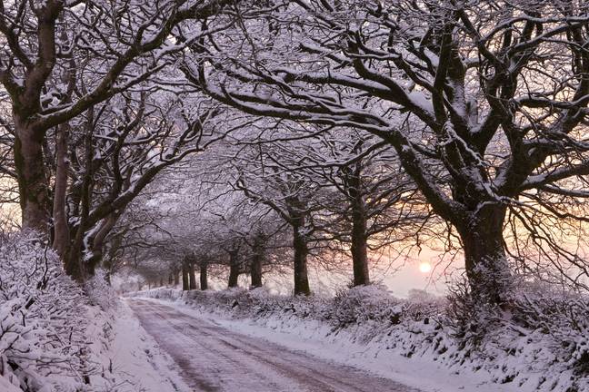 Large parts of the country could be buried in snow as the cold weather hits. Credit: Adam Burton / Alamy Stock Photo
