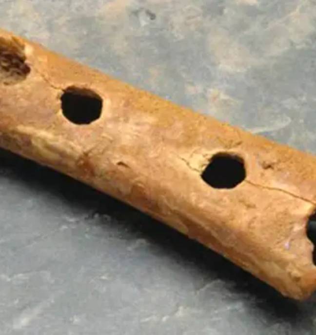 The original flute. Credit: The Archaeology News Network
