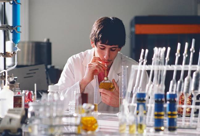 Physarum can even escape the lab! Credit: H. Mark Weidman Photography / Alamy Stock Photo