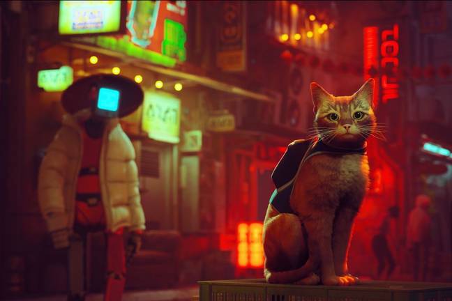 The game is billed as a ‘third-person cat adventure game’. Credit: Annapurna Interactive