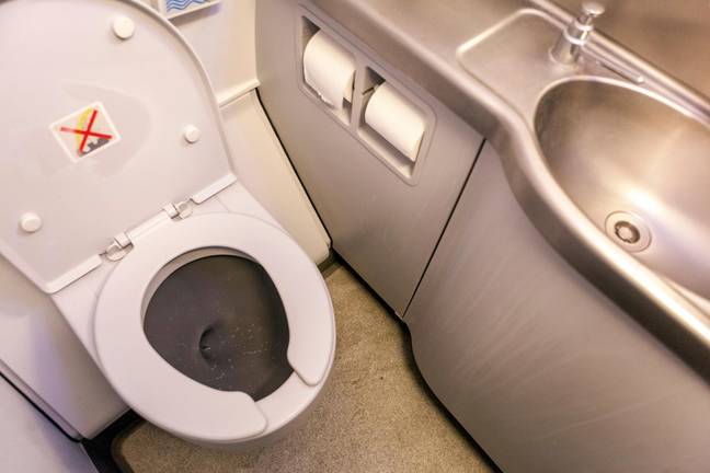 &quot;If a meal isn't sitting right with a passenger and they need to use the loo because of it, you don't want to be in there straight after.&quot; Credit: Cum Okolo / Alamy Stock Photo