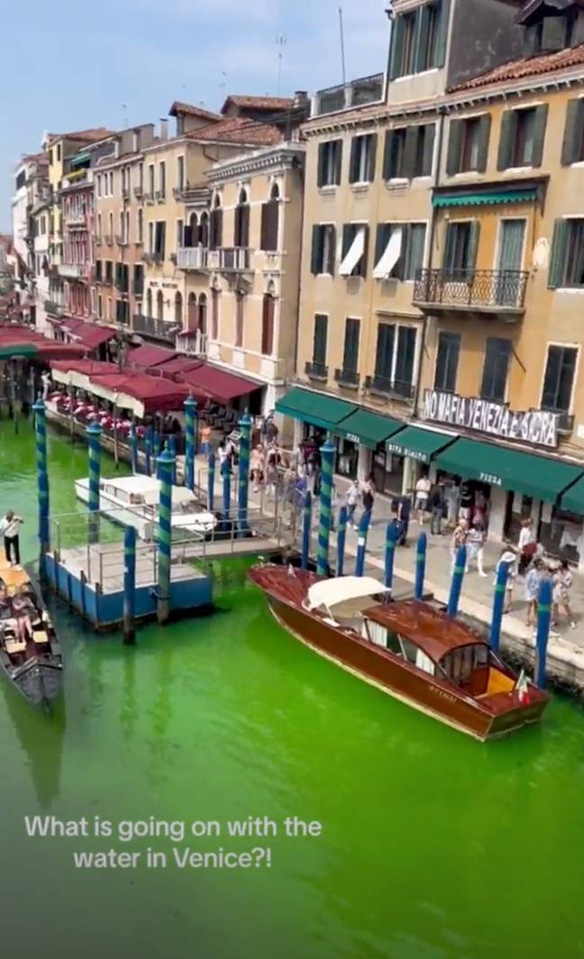 A patch of water in the Venice's iconic Grand Canal has turned fluorescent green. Credit: TikTok/@bigmikeinthemountians