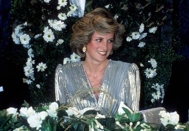 Princess Diana. Credit:  jonny sparks / Alamy