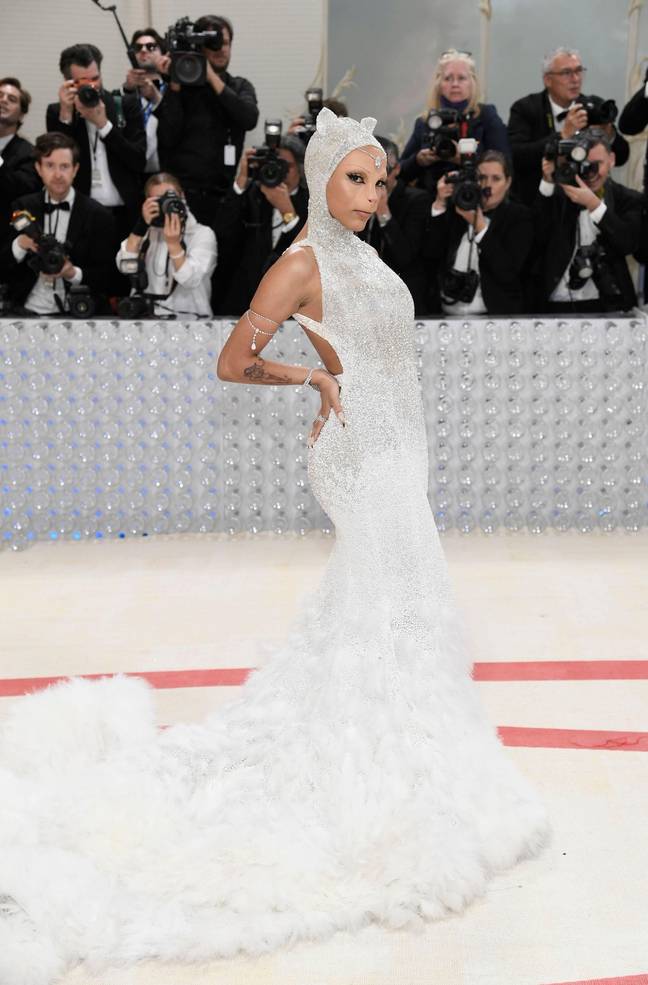 Doja Cat has come to this year's Met Gala dressed as a cat, it's rather fitting really. Credit: Associated Press / Alamy Stock Photo