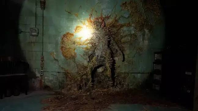 Cordyceps as seen in The Last of Us. Credit: HBO