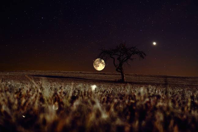 You won't see this Moon for another year. Credit: Pixabay