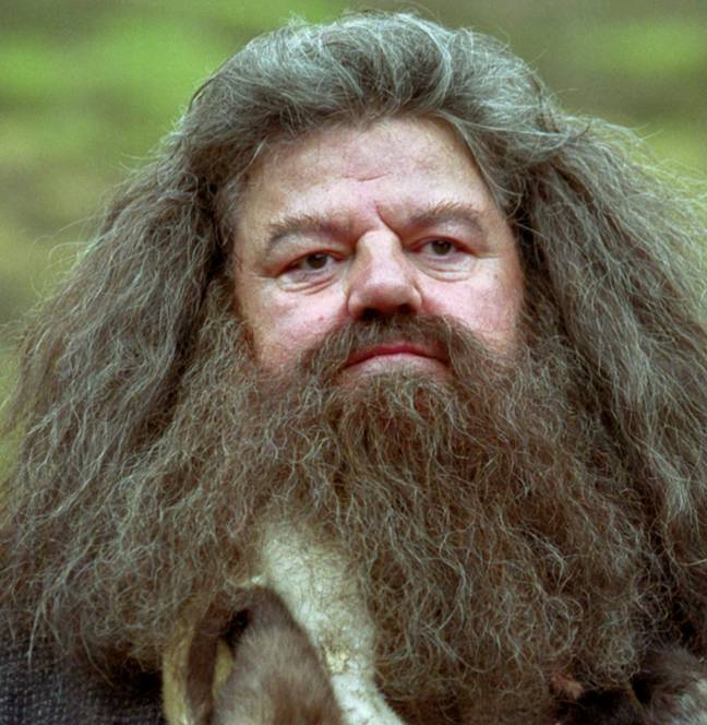 Robbie Coltrane went on to be cast as Hagrid. Credit: Warner Bros.