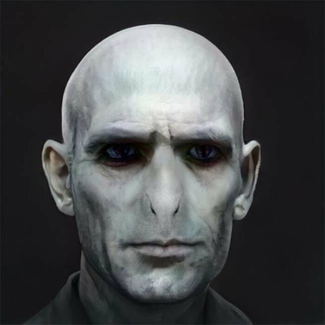 Voldemort looked virtually identical to the film adaptation. Credit: Reddit/MsBananaAnna 