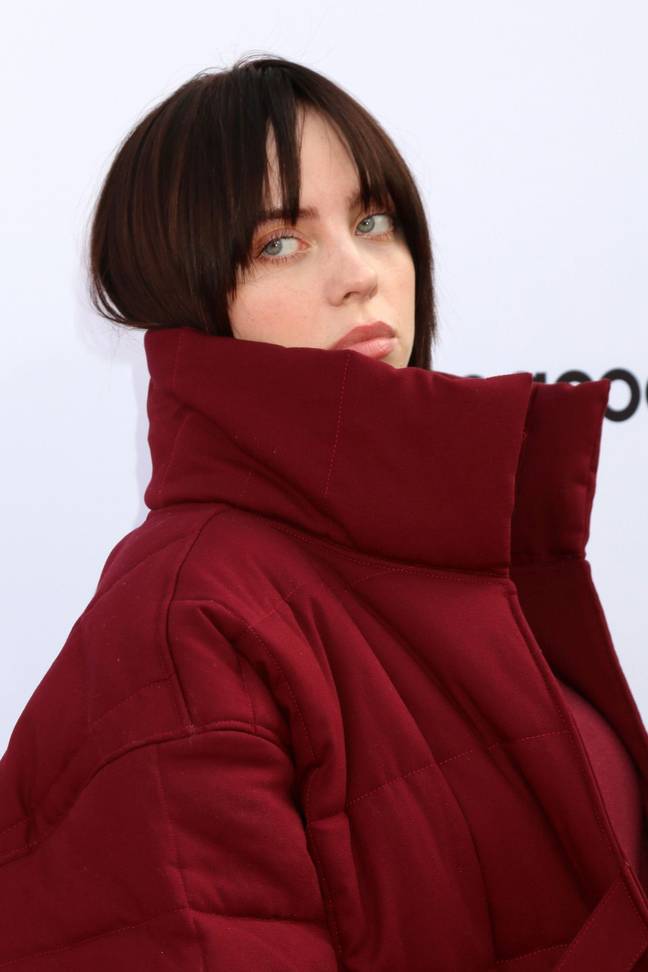 Billie Eilish says she would have died from Covid if she hadn't got vaccinated. Credit: Alamy