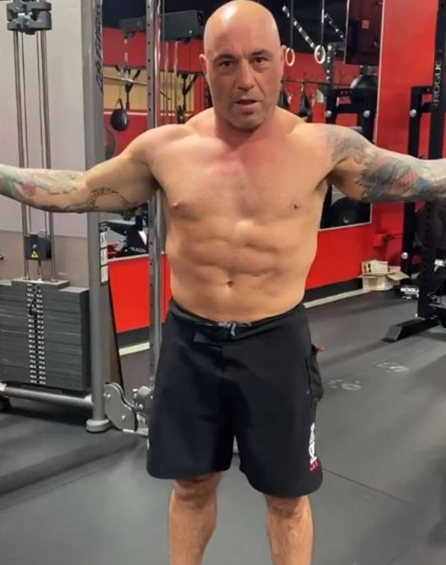 Rogan shed 12 lbs by following a ‘carnivore diet’. Credit: Instagram 