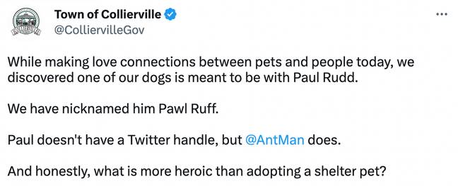 &quot;One of our dogs is meant to be with Paul Rudd.&quot; Credit: @ColliervilleGov/Twitter