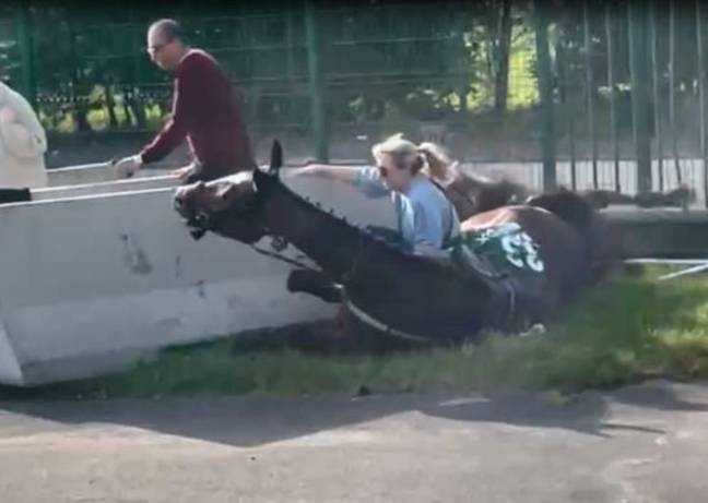 The horses sped into the woman. Credit: SWNS