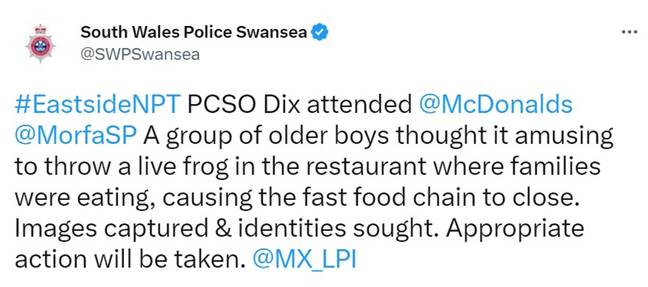 The police announced the weird frog-related incident on Twitter. Credit: Twitter/@SWPSwansea