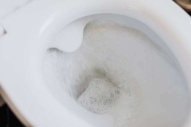 Leaky loos are also an issue. Credit: Pexels