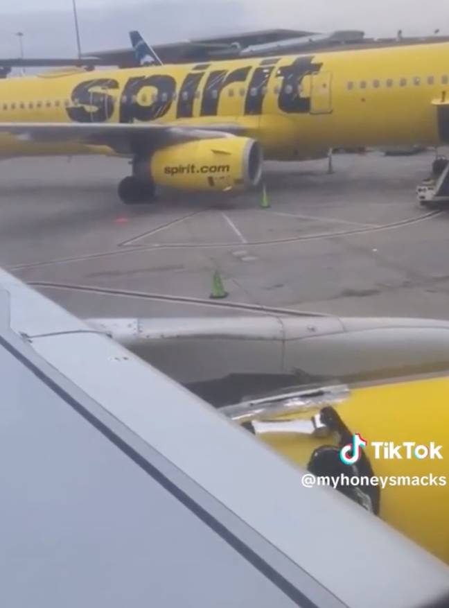 Speed Tape looks a lot like duct tape, which might be the reason passengers panic when they see it. Credit: TikTok/@myhoneysmacks