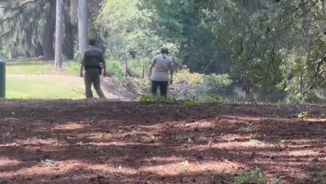 The woman was out walking with her dog when she was attacked by the gator. Credit: CBS News