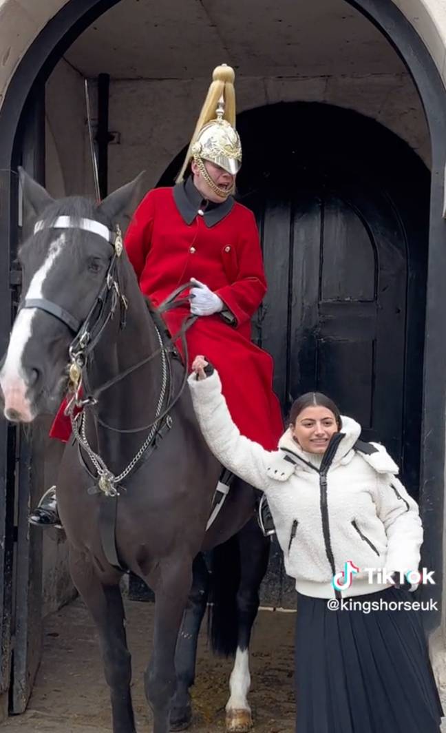 The King's Guard told the woman twice to 'get off'. Credit: kingshorseuk/TikTok