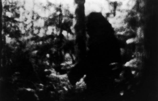A 1967 photograph of the purported Bigfoot. Credit: GRANGER - Historical Picture Archive/Alamy Stock Photo