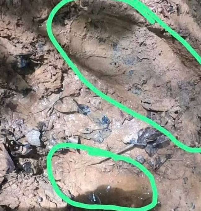 A footprint which could be a girl's footprint. Credit: Colombian National Army