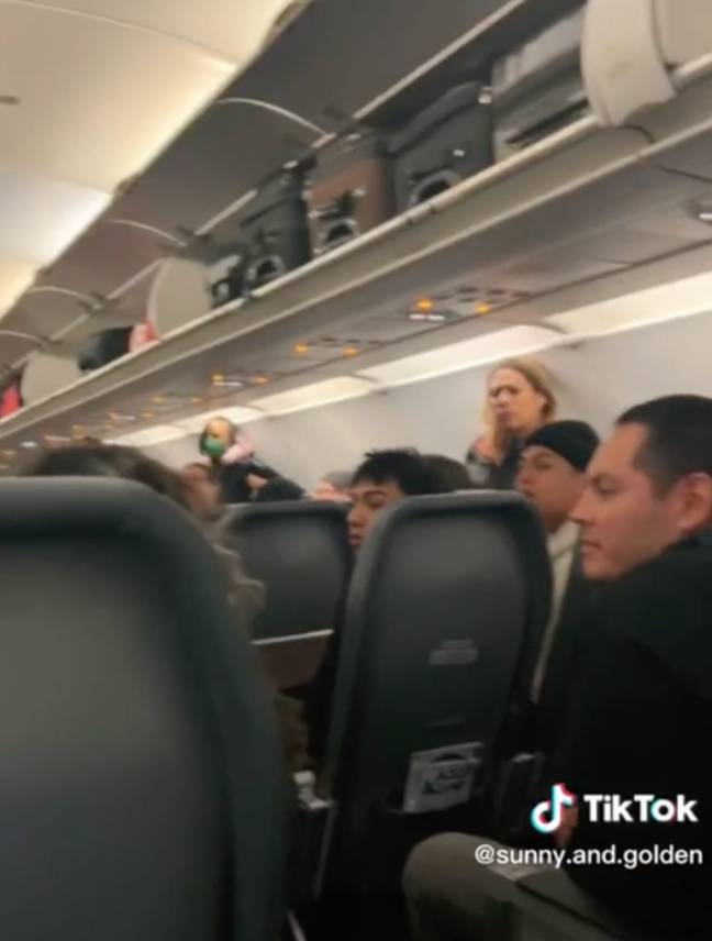 Reddit users were similarly outraged with the couple's behaviour. Credit: @sunny.and.golden/ TikTok/ u/Koshka69/ Reddit