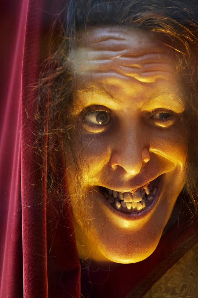 Hopefully this won't infiltrate your nightmares tonight. Credit: Alamy Stock Photo/ imageBROKER.com GmbH &amp; Co. KG