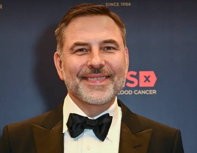 David Walliams later apologised for his comments. Credit: Dave Benett/Getty Images for DKMS