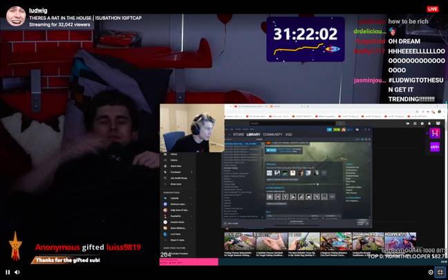 Ludwig is streaming from his bed, right now / Credit: twitch.tv/ludwig