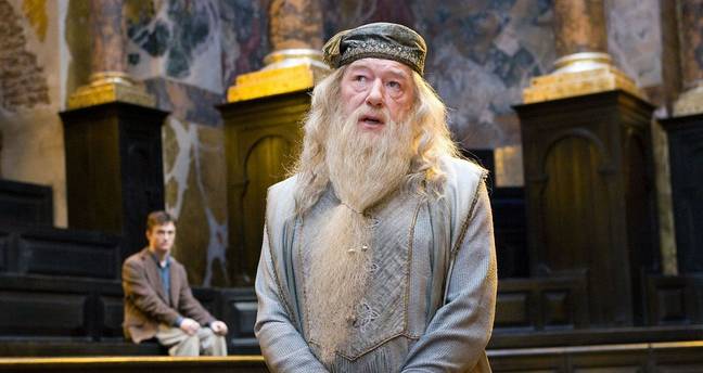 Professor Dumbledore from the little-known Harry Potter series. Credit: Warner Bros