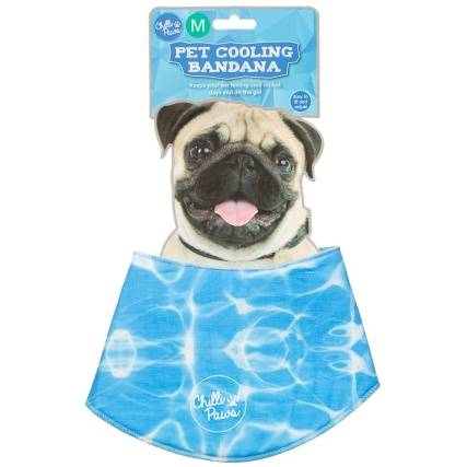 B&m dog sun loungers Clearance
