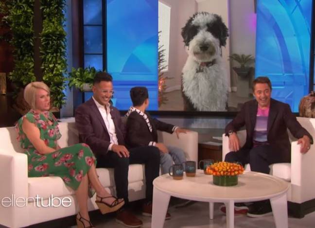 Vincent even named his dog after the superhero. Credit: NBC/The Ellen DeGeneres Show