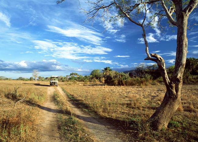 Tanzania's Selous Game Reserve. Credit: PA