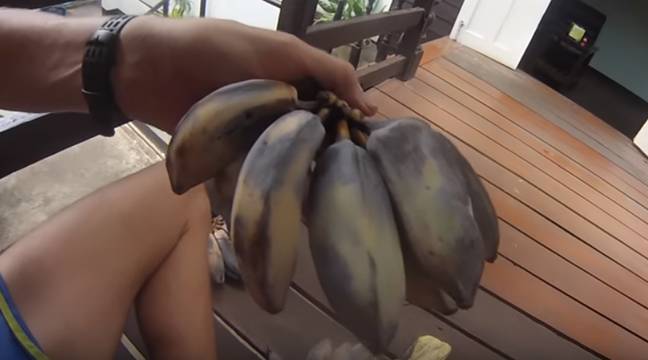 The bananas in their skin. Credit: YouTube/Raw Aussie Athlete