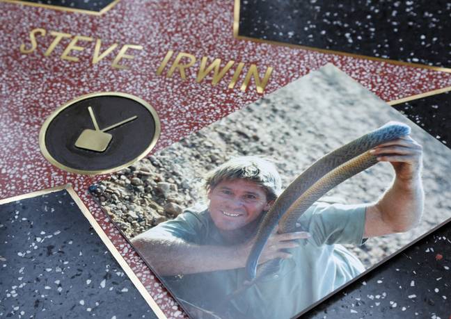 Irwin was honoured with a star on the Hollywood Walk of Fame. Credit: PA