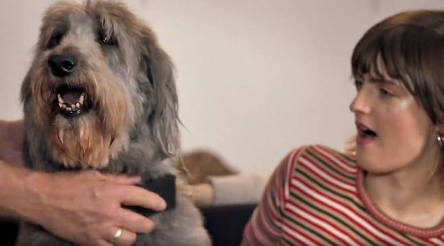 Cuss collar clearance