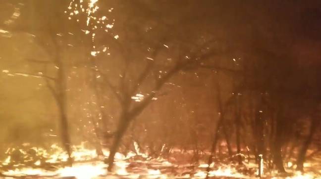 Terrifying Video Shows People Fleeing Raging California Wildfires. Credit: Brynn Chattfield