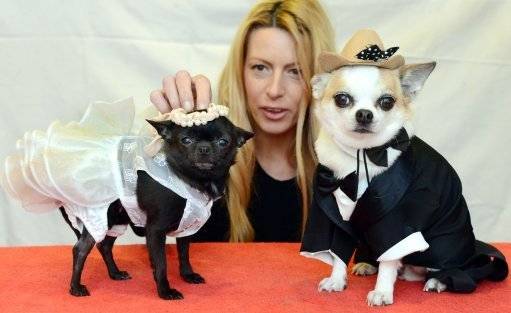 This woman has anthropomorphised the fuck out of these dogs. Credit: PA 