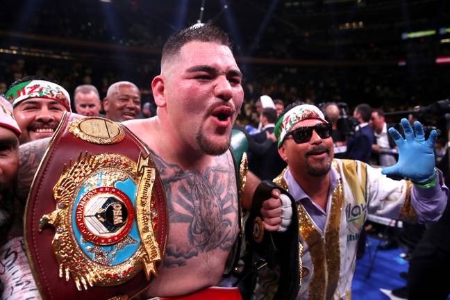 Ruiz screams in delight after becoming world champion. Image: PA Images