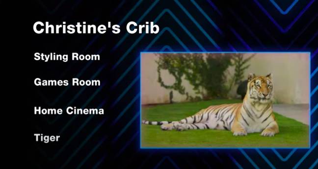 The crib boasts an actual tiger (Credit: MTV)