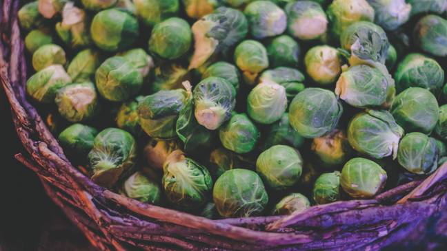 Time to perk up your sprouts (Credit: Unsplash)