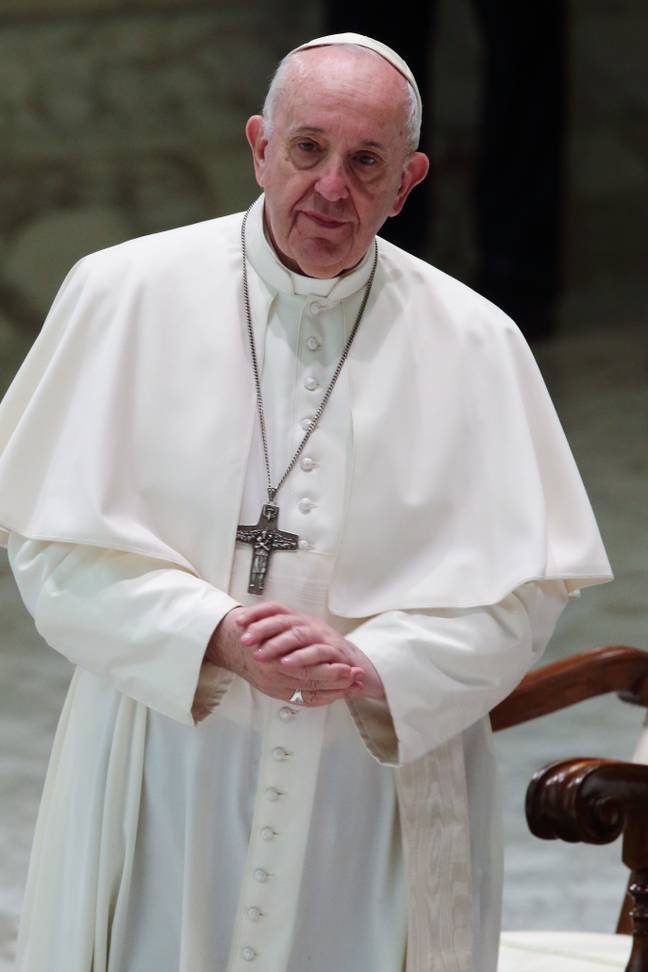 Pope Francis has endorsed civil unions (Credit: PA)
