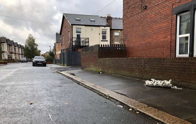 Rachael Barraclough spotted the 'dead' Dalmatian while she waited for her bus to work (Credit: Kennedy)