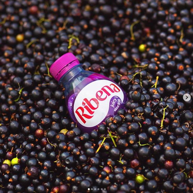 Recreate the blackcurrant hues of Ribena on your locks (Credit: Ribena)