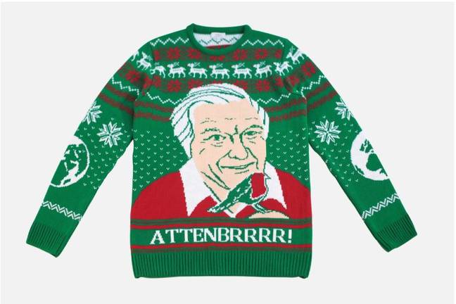 If you love David Attenborough this jumper is perfect for you. (Credit: notjust)