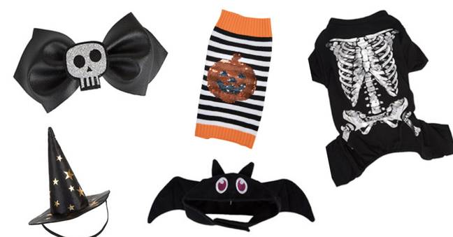 There are loads of cute costumes and items to collect (Credit: Pets at Home) 