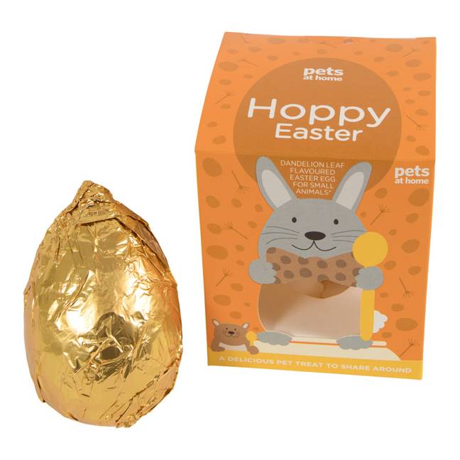 The Easter bunny should also get their own Easter egg (Credit: Pets at Home)