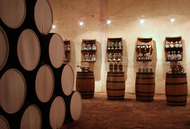 Guests can go on tequila tasting tours (Credit: Matices Hotel de Barricas)