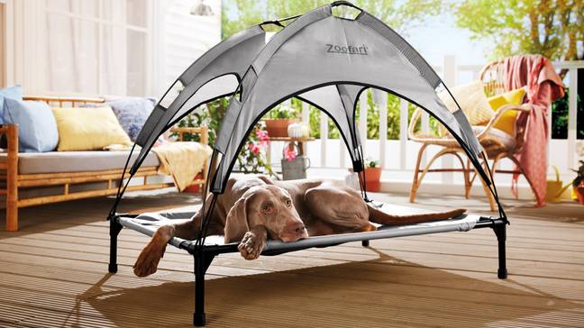 Lidl's Zoofari Dog Bed with Sun Shade, Â£19.99 (Credit: Lidl)