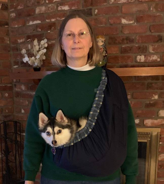 Pets who are too young to walk can be carried in this innovative sling (Credit: Amazon)